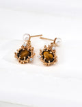 Lava Coral Series Tiger Eye Earrings